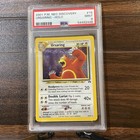 Ursaring