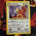 Ursaring