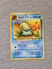 Omanyte