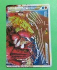 Kyogre & Groudon LEGEND