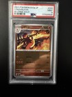 Charmeleon