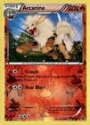 Arcanine