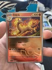 Rapidash