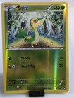 Snivy