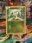 Snivy