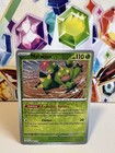Maractus