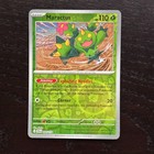 Maractus