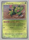 Maractus
