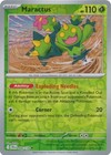 Maractus