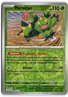 Maractus