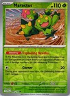 Maractus