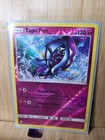 Tapu Fini