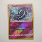 Tapu Fini