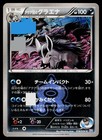 Team Aqua's Mightyena