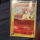 Ponyta