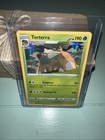 Torterra