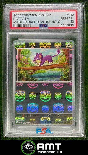 Rattata