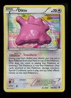 Ditto