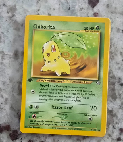 Chikorita