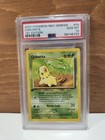 Chikorita