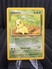 Chikorita