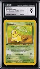 Chikorita