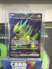 Iron Thorns ex