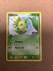 Chikorita