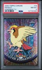 Pidgeot