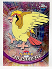 Pidgeot
