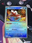 Goldeen