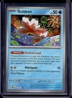 Goldeen