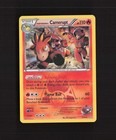 Team Magma's Camerupt