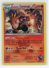 Team Magma's Camerupt