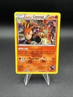 Team Magma's Camerupt
