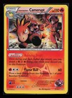 Team Magma's Camerupt