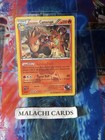Team Magma's Camerupt