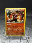 Team Magma's Camerupt