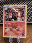 Team Magma's Camerupt