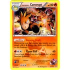 Team Magma's Camerupt