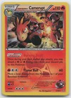 Team Magma's Camerupt