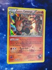 Team Magma's Camerupt
