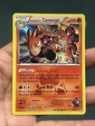 Team Magma's Camerupt