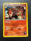 Team Magma's Camerupt