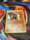Team Magma's Camerupt