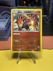 Team Magma's Camerupt