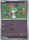 Ralts