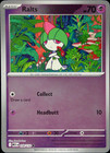 Ralts