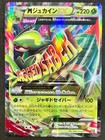 M Sceptile EX