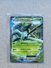 M Sceptile EX